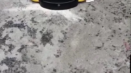 블루투스 휴대폰 제어 자동 주차 잠금 장치